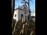 Starý židovský hřbitov - s Klausovou synagogou