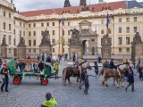 Převoz zvonu Václav do kostela sv. Havla v Havelské ulici na Starém Městě